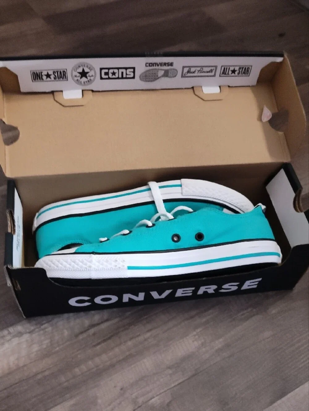 Converse Kids Teal Low Top Sneakers with White Laces